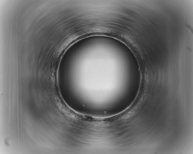 X0000100211025200805301321