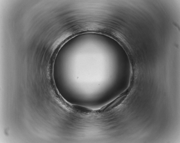 X0000100211026200805301321