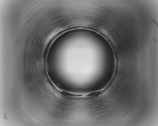 X0000100211027200805301321