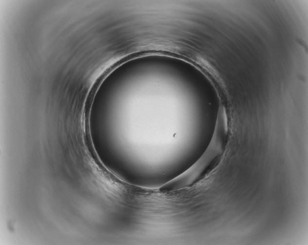 X0000100211028200805301321