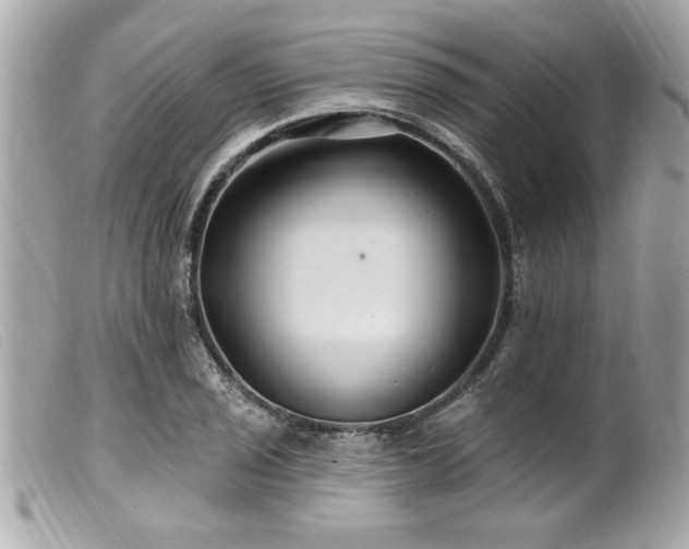 X0000100211029200805301321