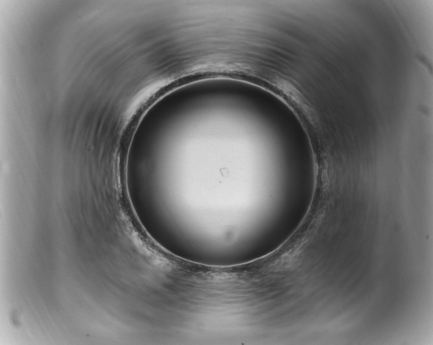 X0000100211030200805301321