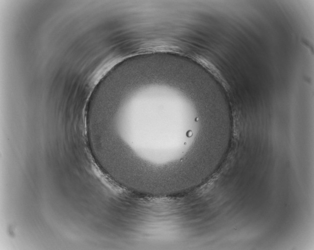 X0000100211031200805301321