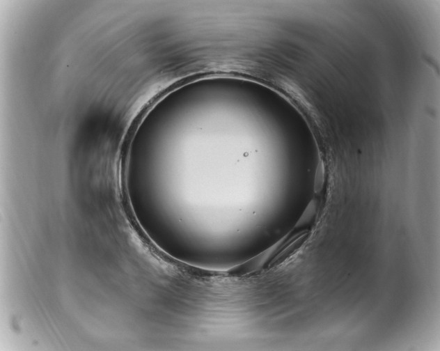 X0000100211032200805301321