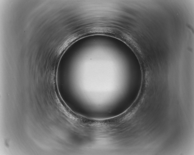 X0000100211033200805301321