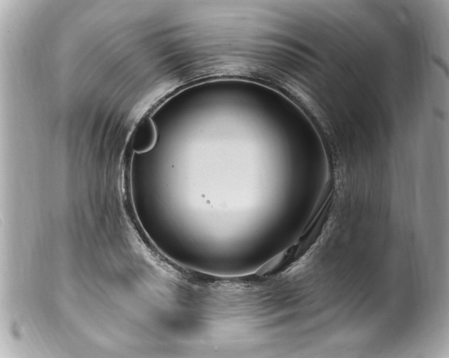 X0000100211034200805301321