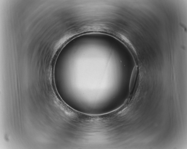 X0000100211035200805301321