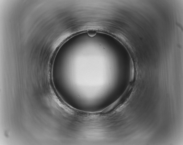X0000100211038200805301321