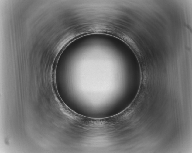 X0000100211039200805301321