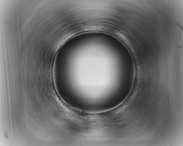 X0000100211041200805301321