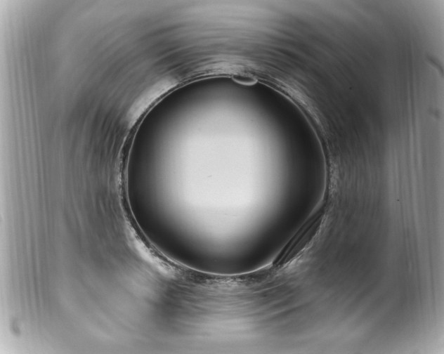 X0000100211042200805301321