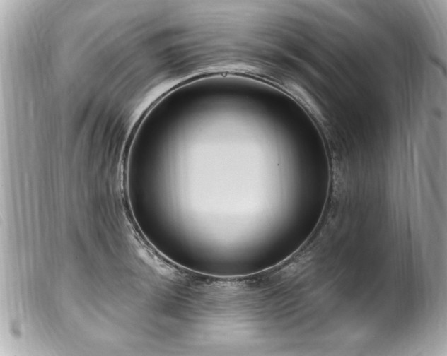 X0000100211044200805301322