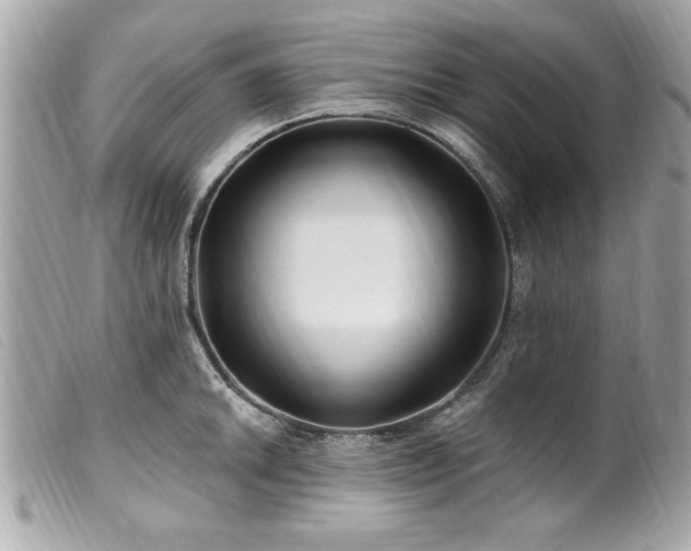X0000100211046200805301322