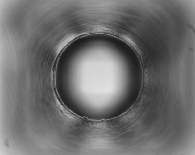 X0000100211047200805301322