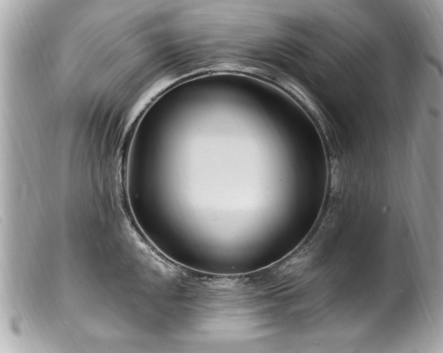 X0000100211048200805301322