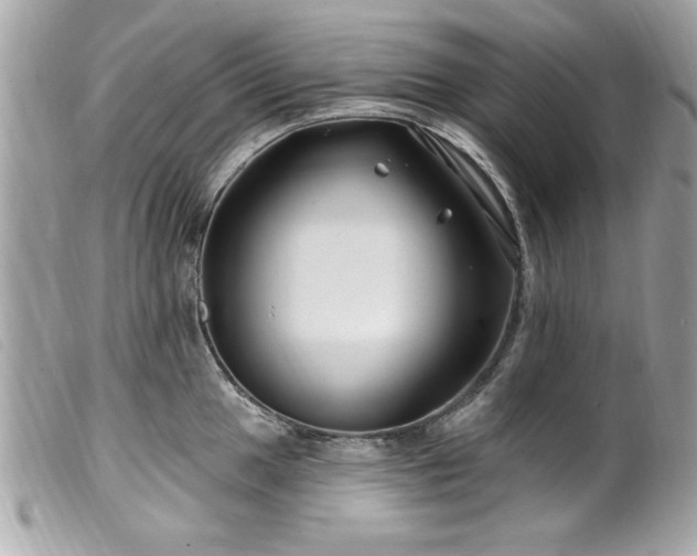 X0000100211049200805301322