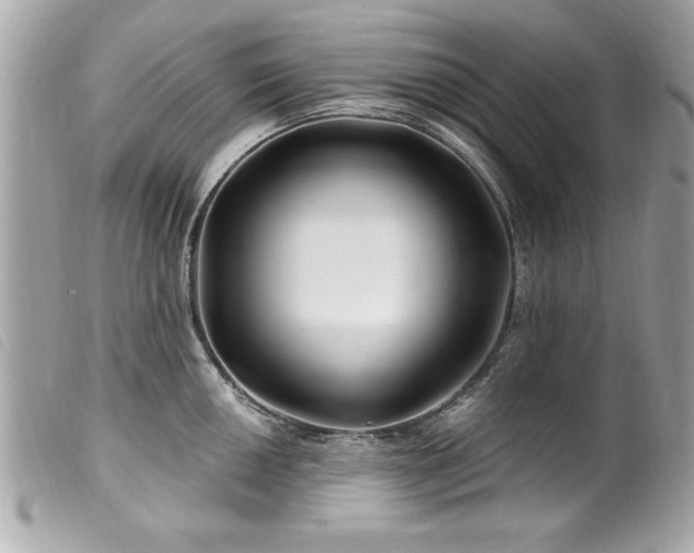 X0000100211050200805301322