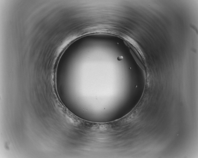 X0000100211051200805301322