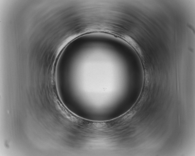 X0000100211052200805301322