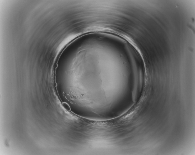 X0000100211053200805301322