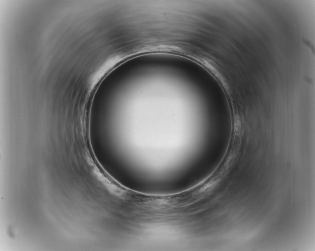 X0000100211054200805301322
