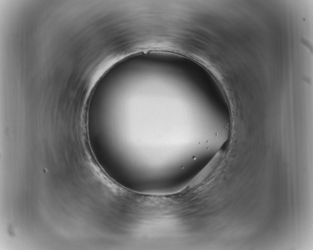 X0000100211056200805301322