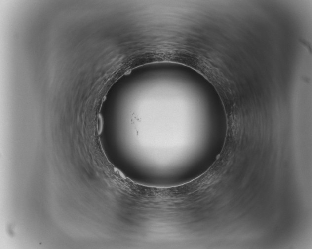 X0000100211057200805301321