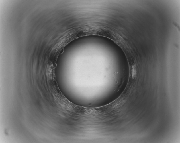 X0000100211059200805301321
