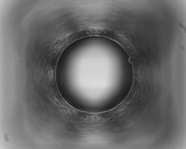 X0000100211061200805301321