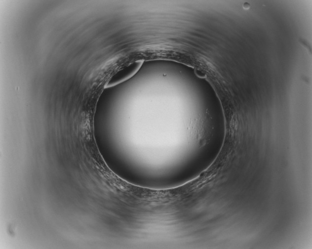 X0000100211062200805301321