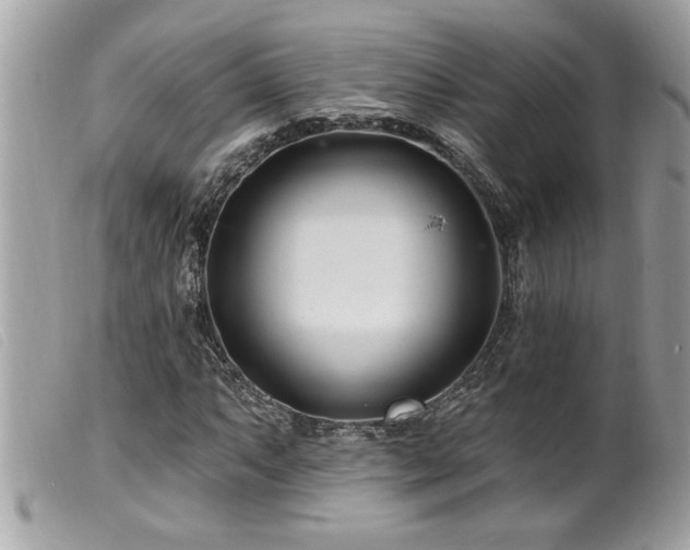 X0000100211063200805301321