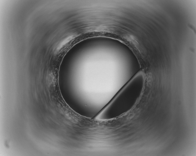X0000100211064200805301321