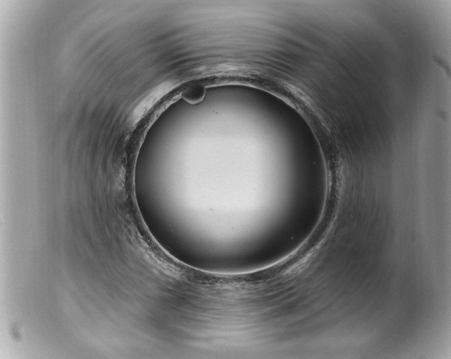 X0000100211066200805301321