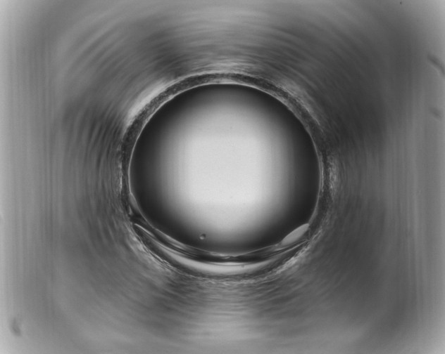 X0000100211069200805301321