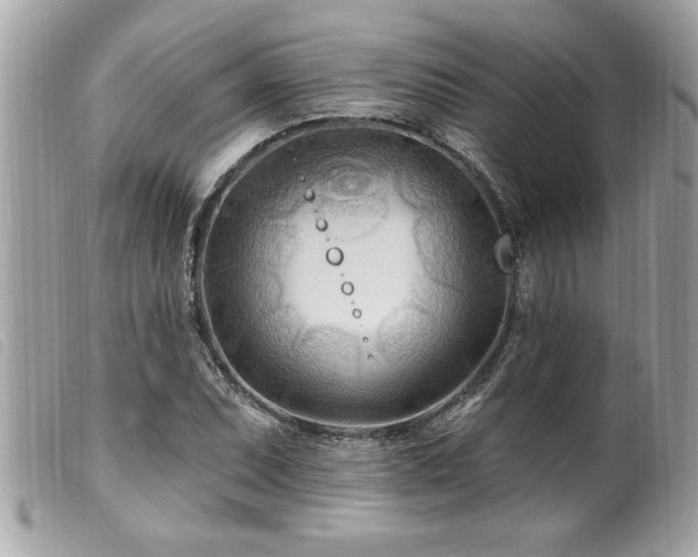 X0000100211071200805301321