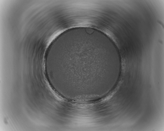 X0000100211077200805301321
