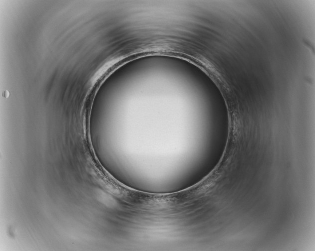 X0000100211078200805301321