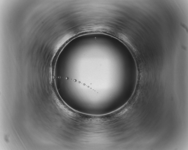 X0000100211079200805301321