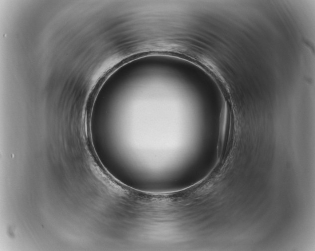 X0000100211080200805301321