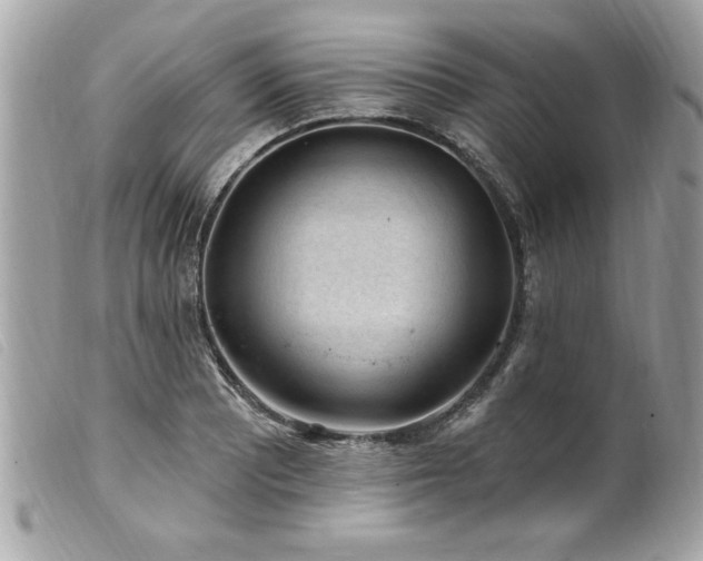 X0000100211081200805301321