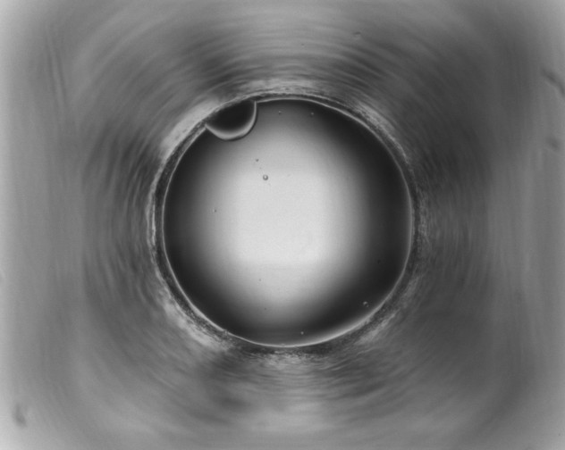 X0000100211082200805301321