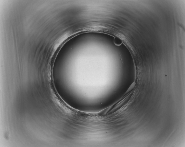 X0000100211083200805301321