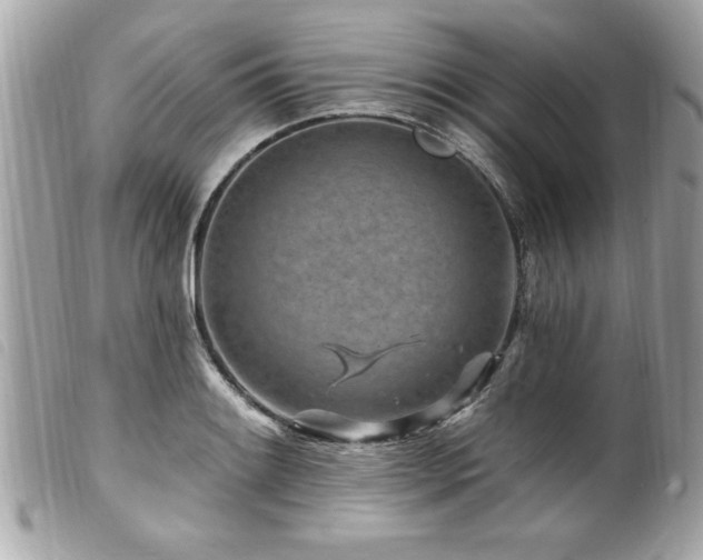 X0000100211084200805301321