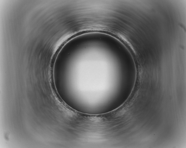 X0000100211085200805301321