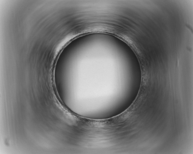 X0000100211086200805301321