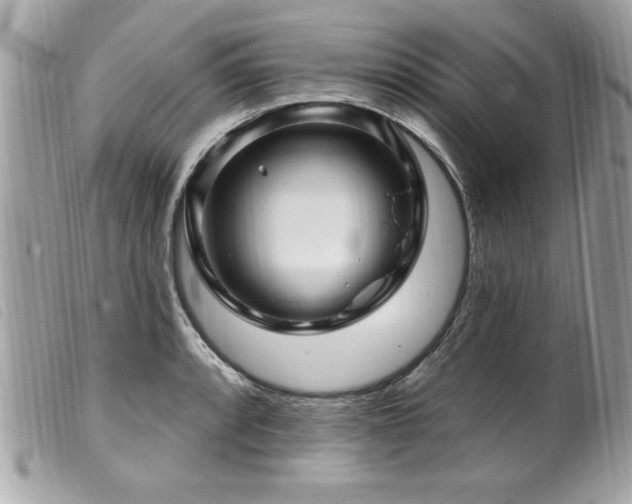 X0000100211088200805301321