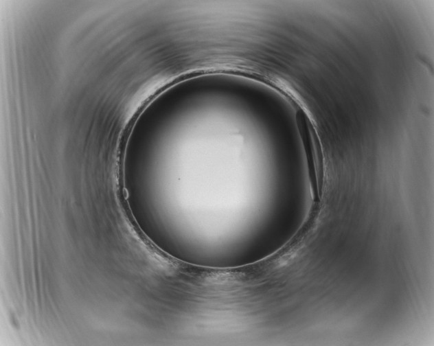 X0000100211093200805301321