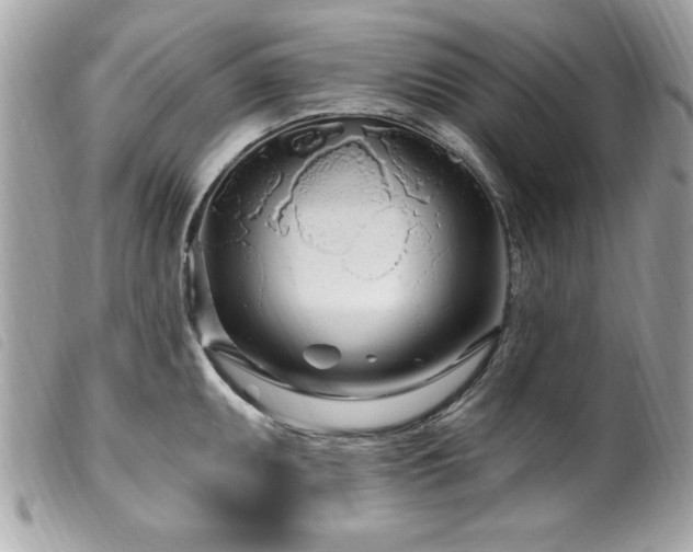 X0000100211095200805301321