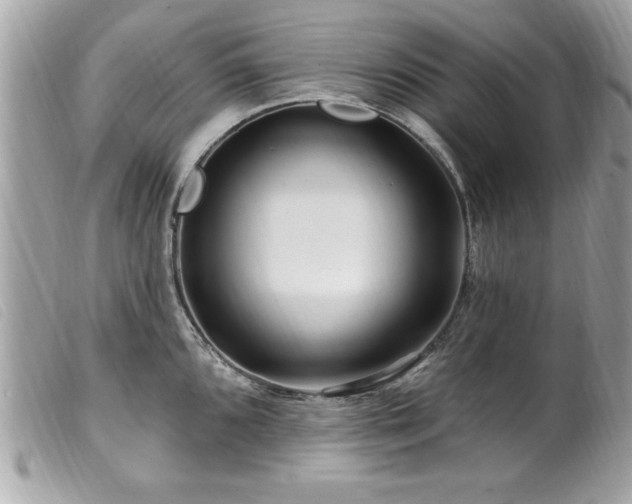X0000100211096200805301321