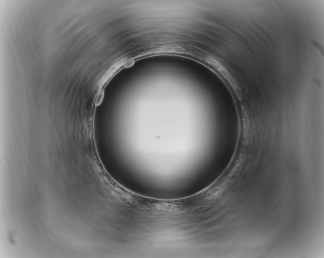 X0000100211097200805301321